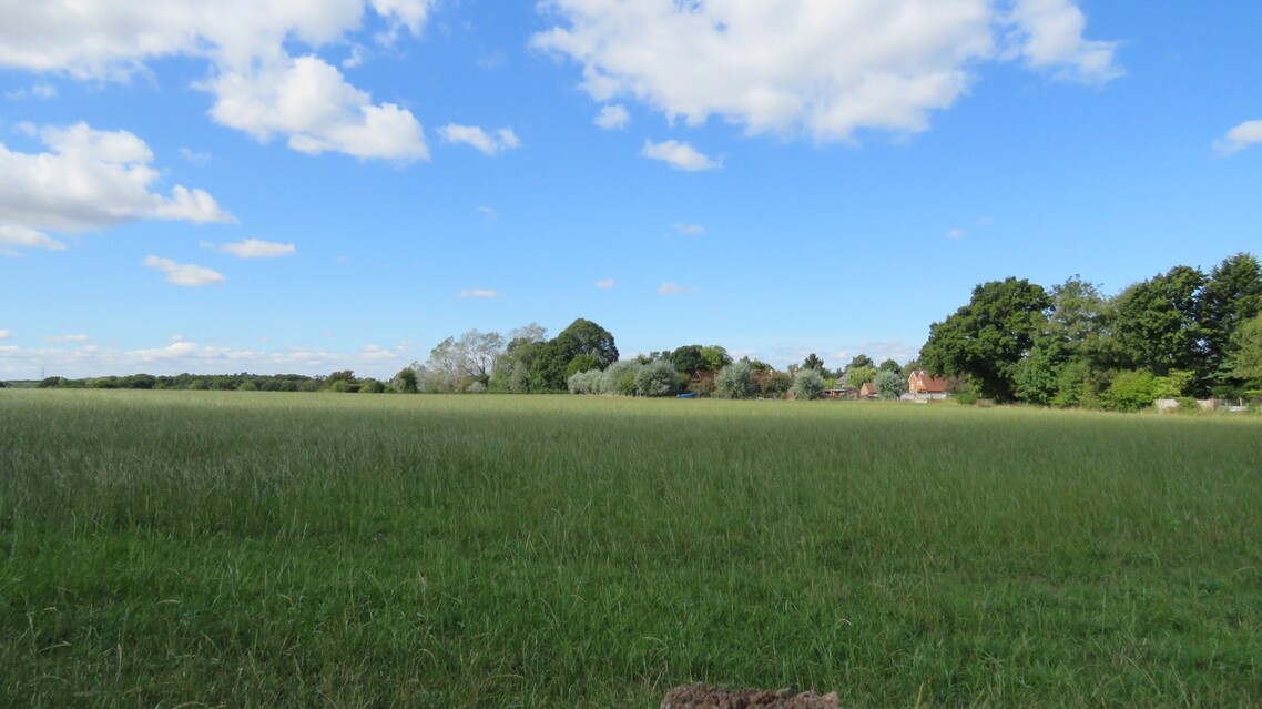 Cross Farm Open Skies