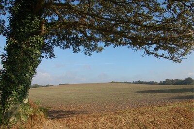 Photos around Crookham Village